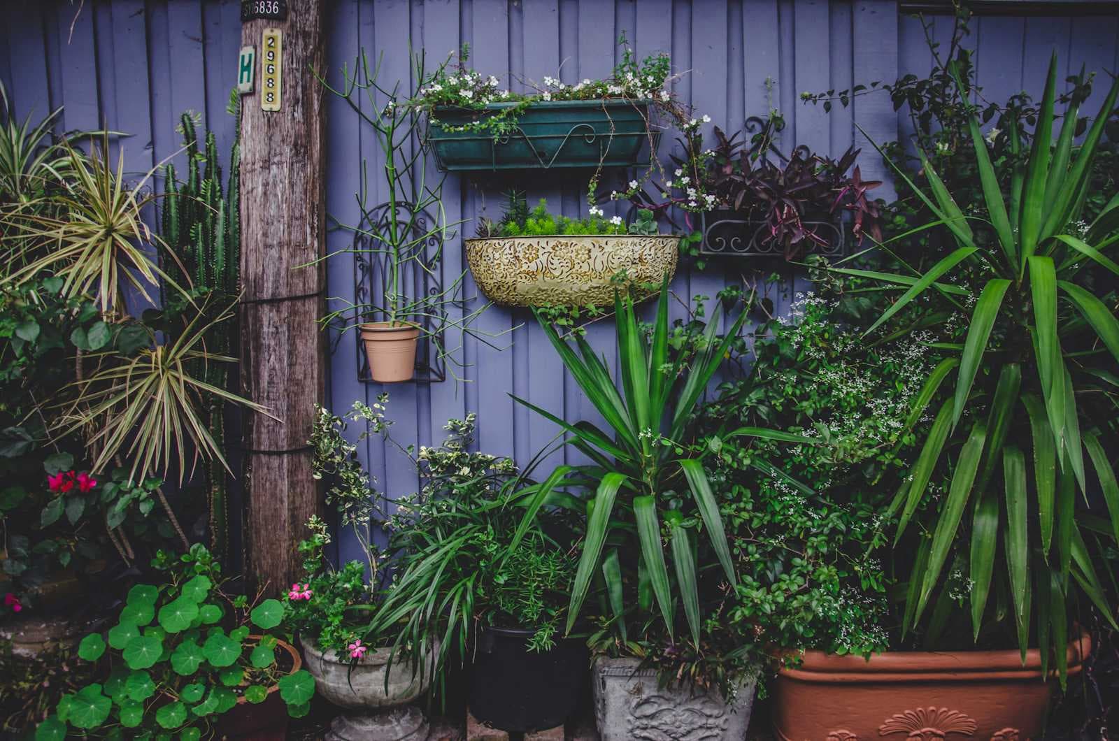 🌱 Gardening 101: Where Should You Start?